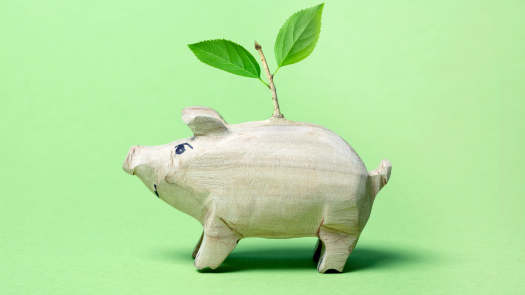 wooden piggy bank with plant growing